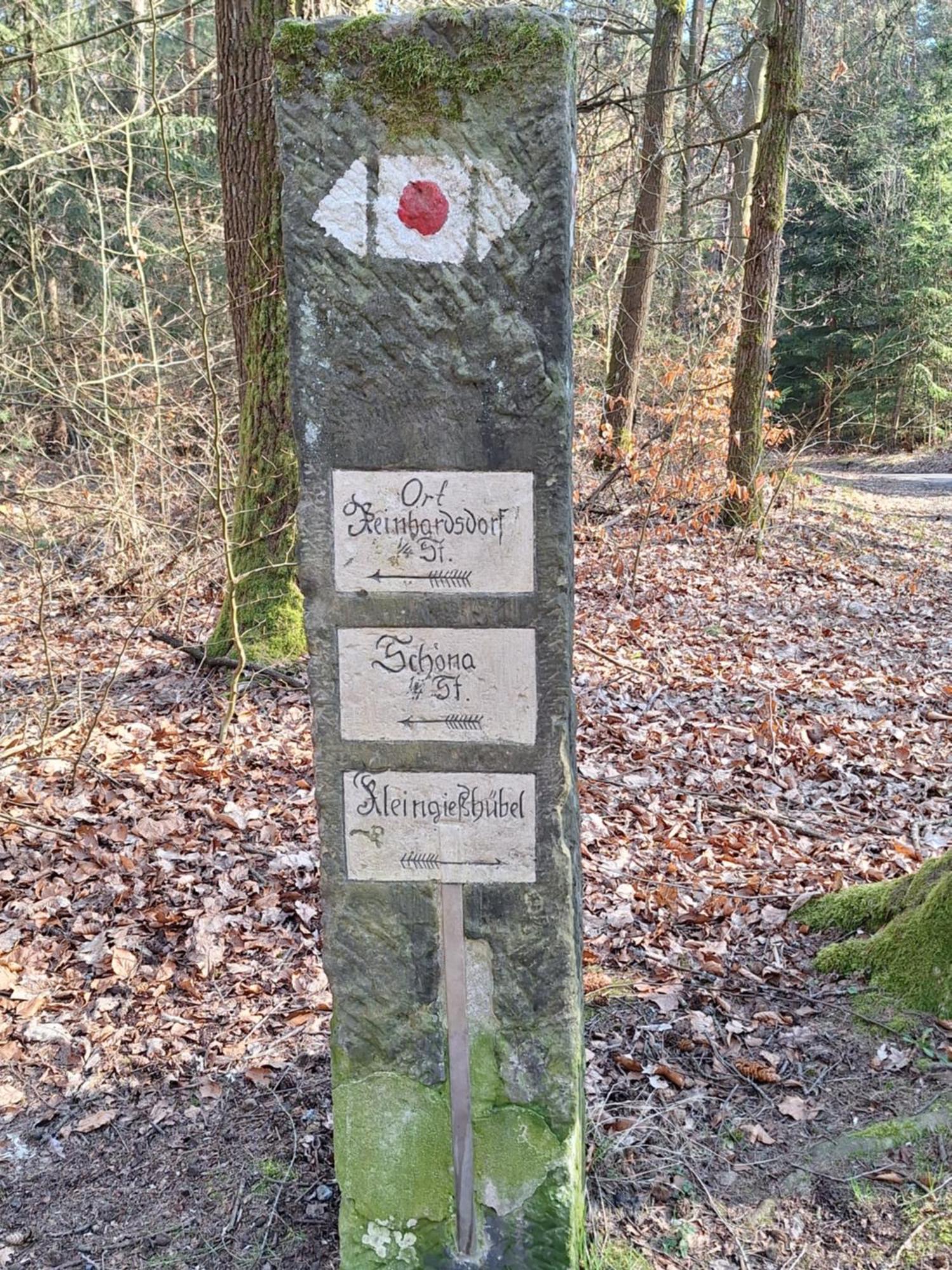 Ferienwohnung Blick Zum Zirkelstein Reinhardtsdorf-Schona Buitenkant foto