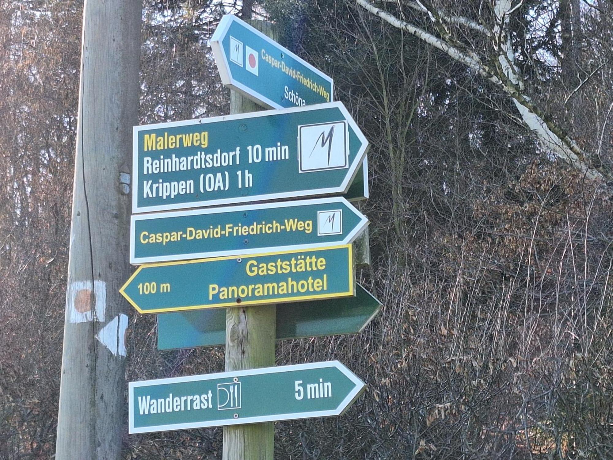 Ferienwohnung Blick Zum Zirkelstein Reinhardtsdorf-Schona Buitenkant foto